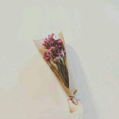 不存在的世界正版下载